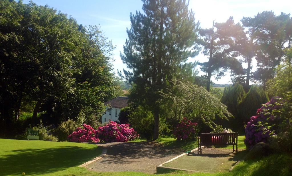 Priskilly Forest Country House Fishguard Room photo